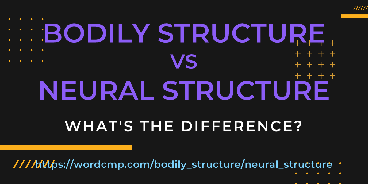 Difference between bodily structure and neural structure