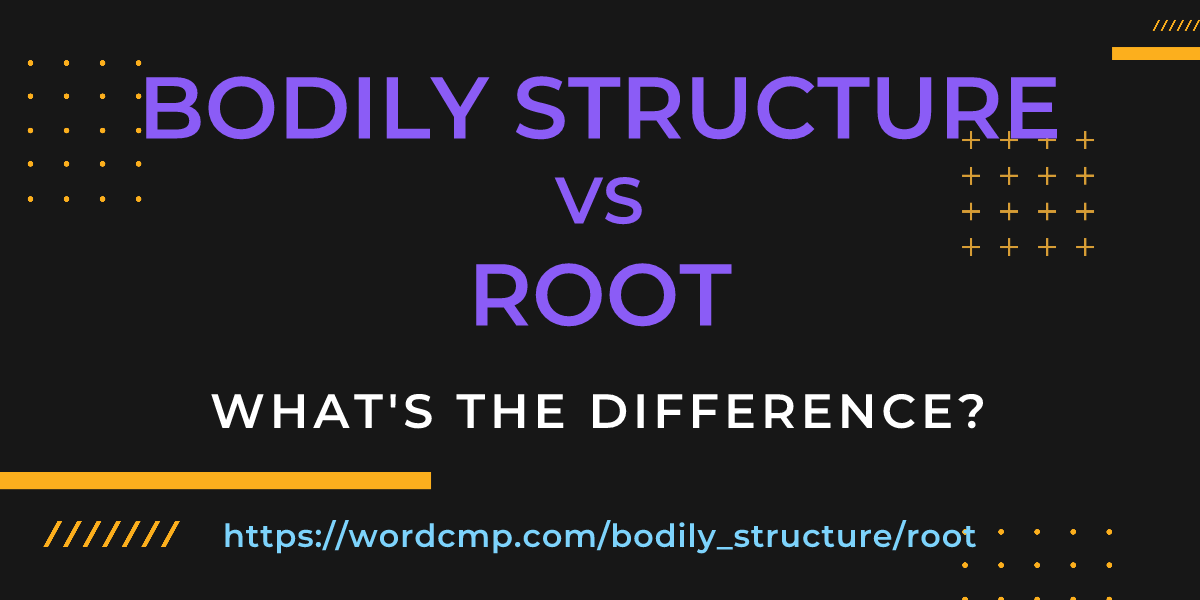 Difference between bodily structure and root