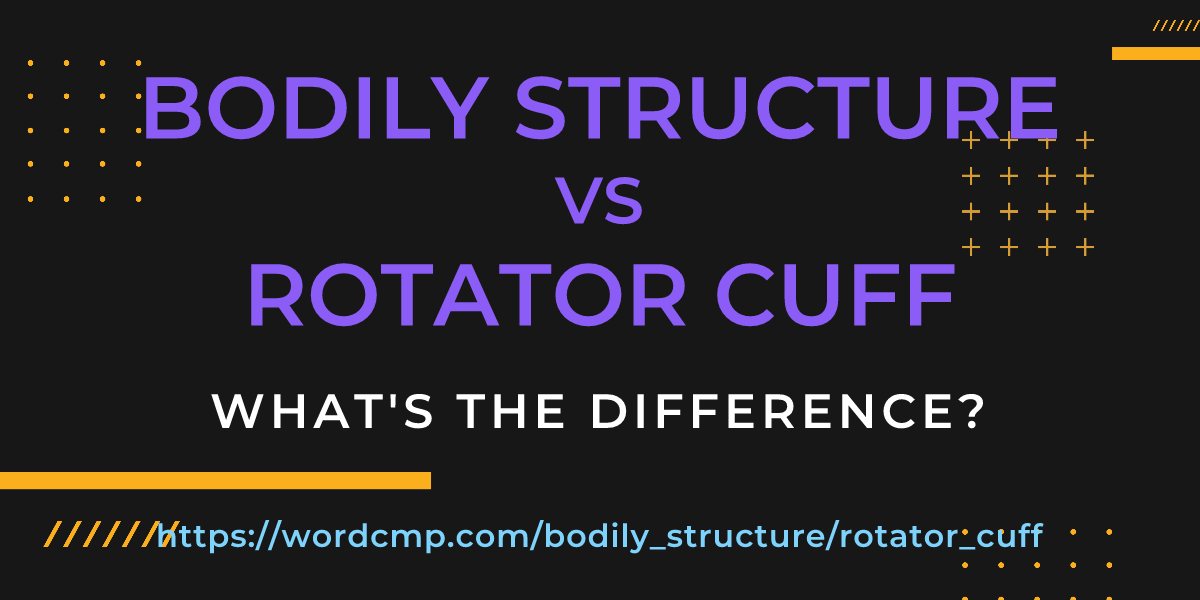 Difference between bodily structure and rotator cuff
