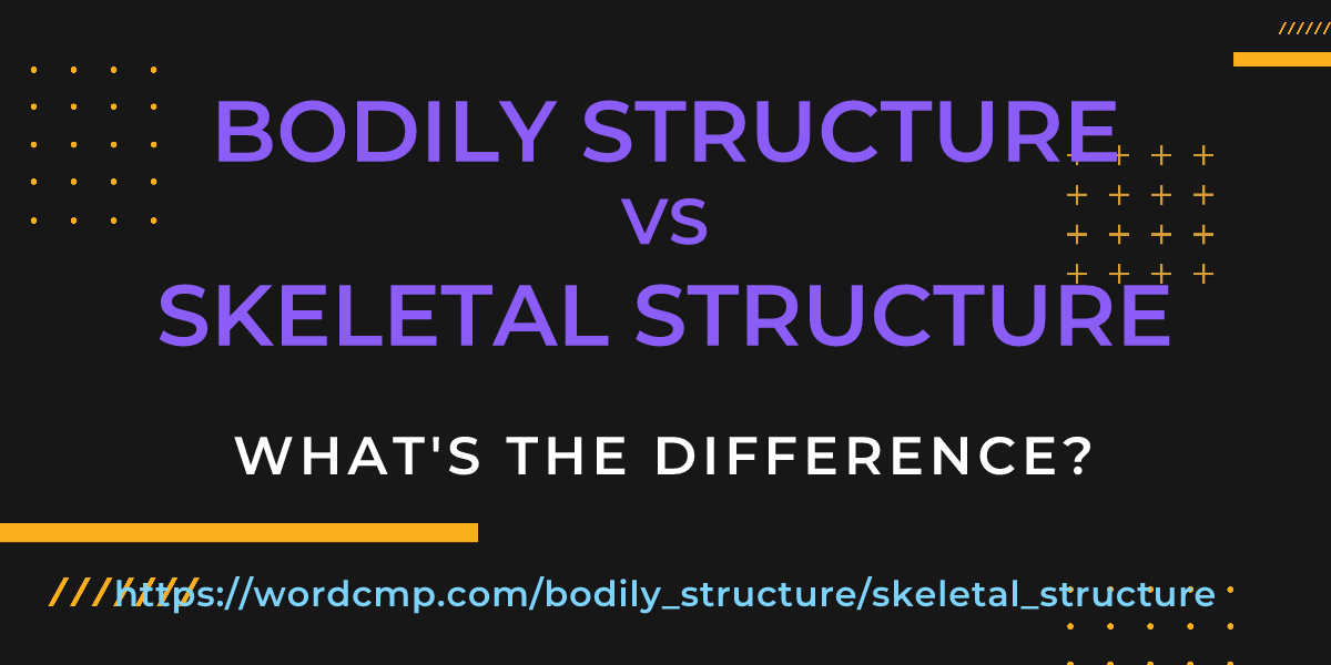 Difference between bodily structure and skeletal structure