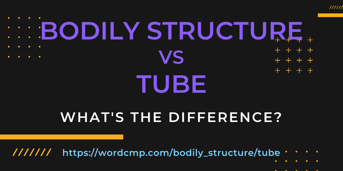 Difference between bodily structure and tube