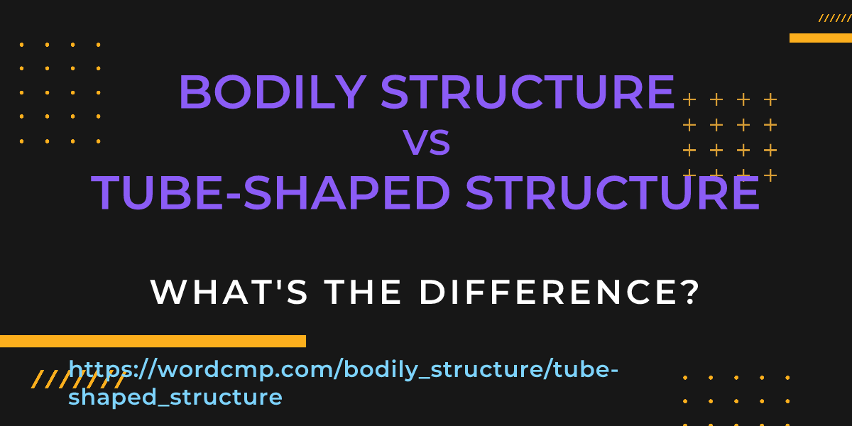 Difference between bodily structure and tube-shaped structure