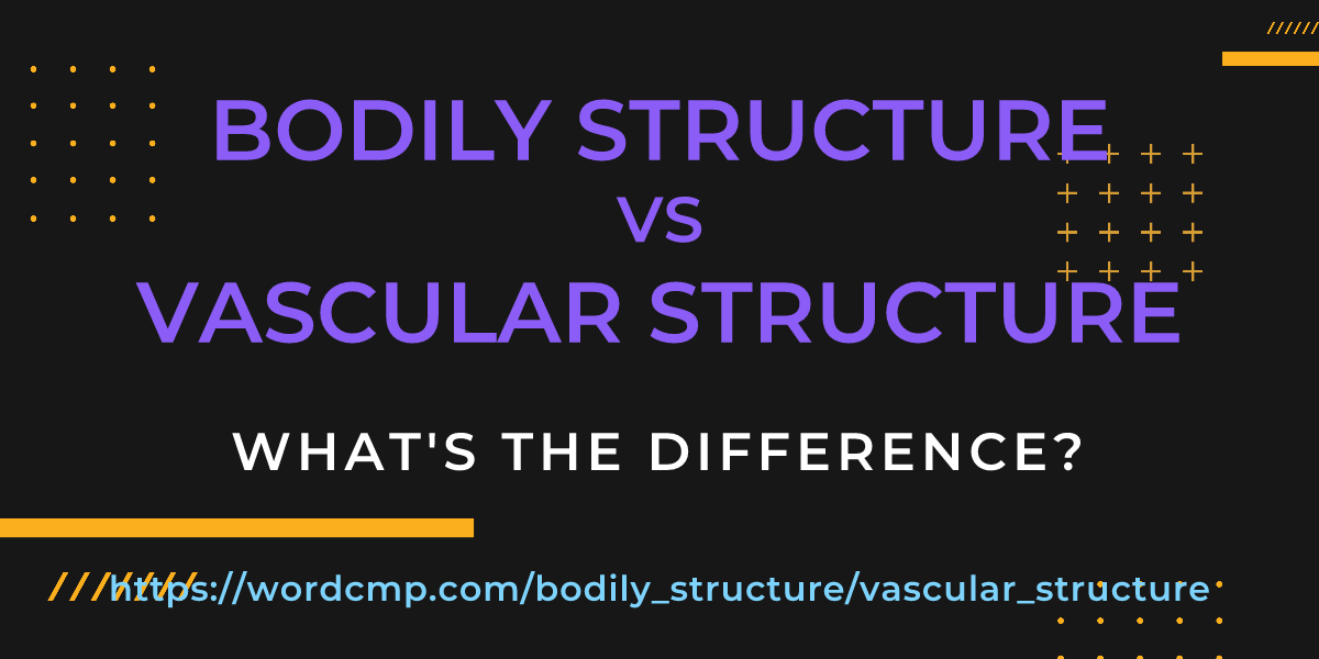 Difference between bodily structure and vascular structure