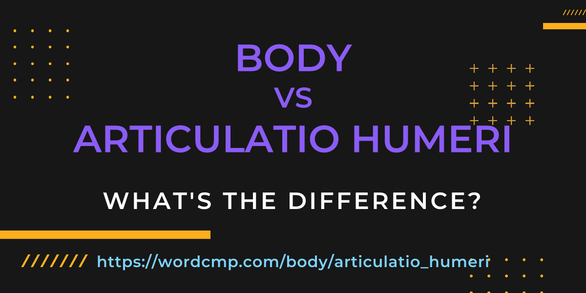 Difference between body and articulatio humeri