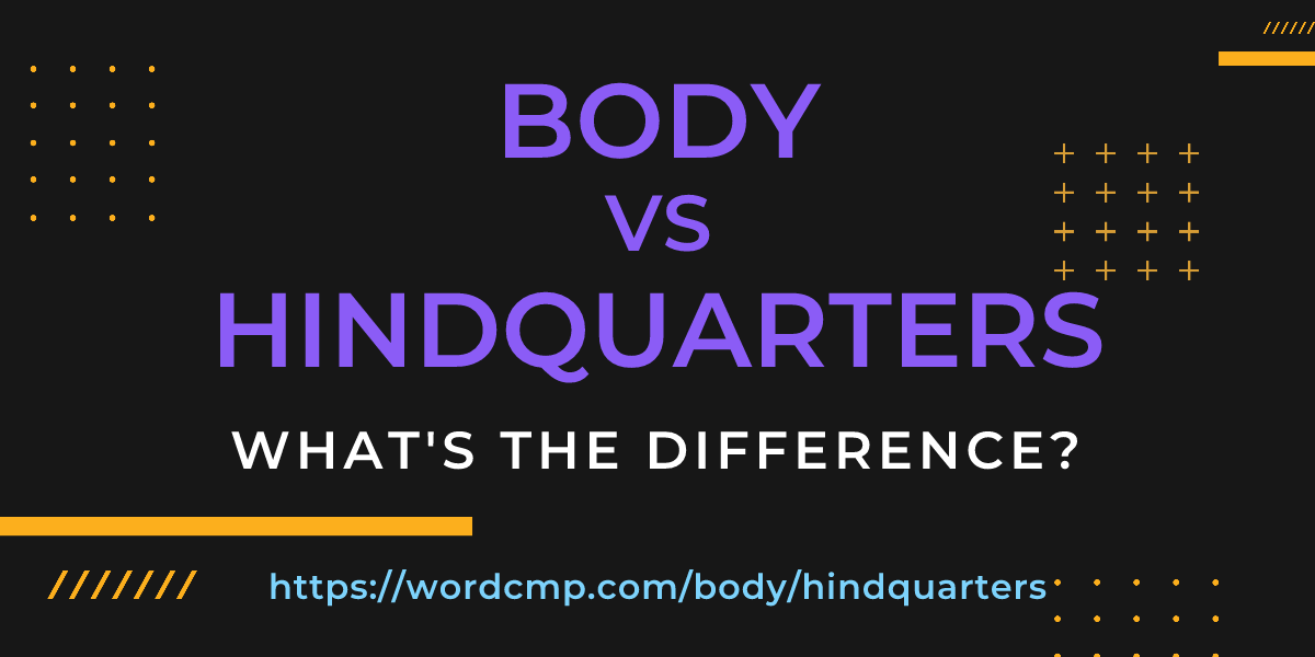Difference between body and hindquarters