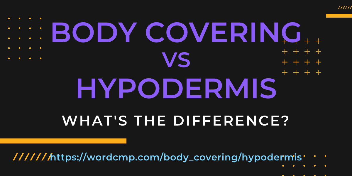 Difference between body covering and hypodermis