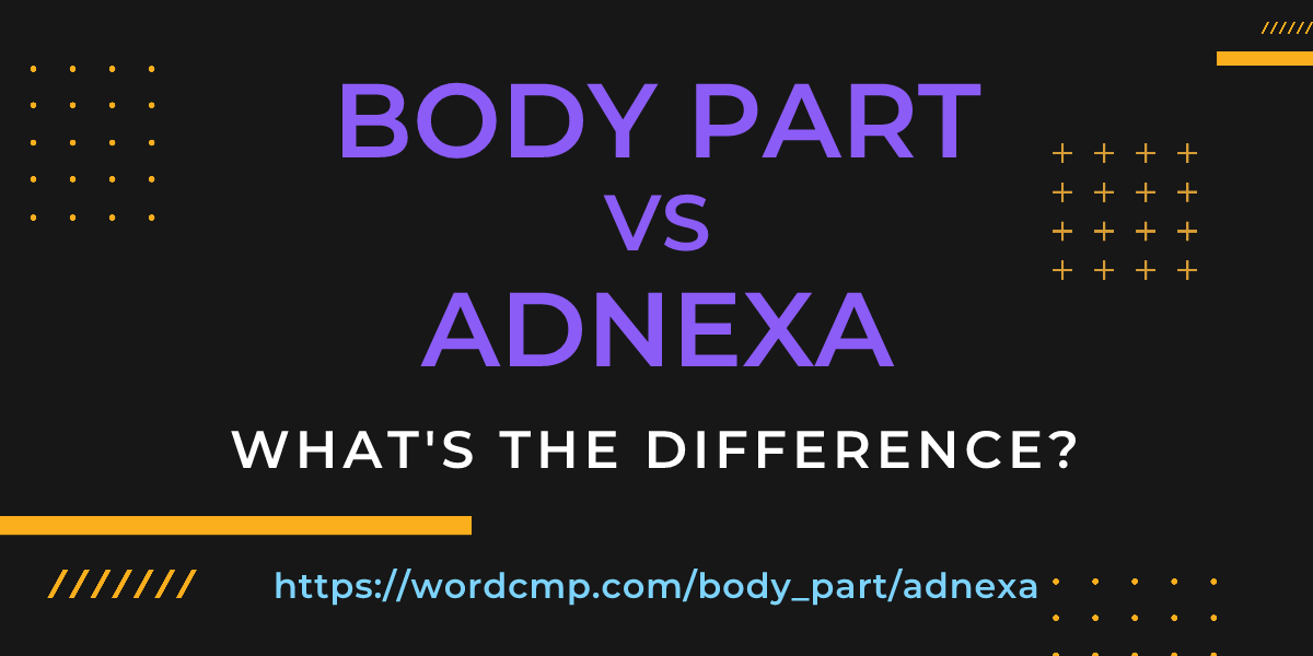 Difference between body part and adnexa