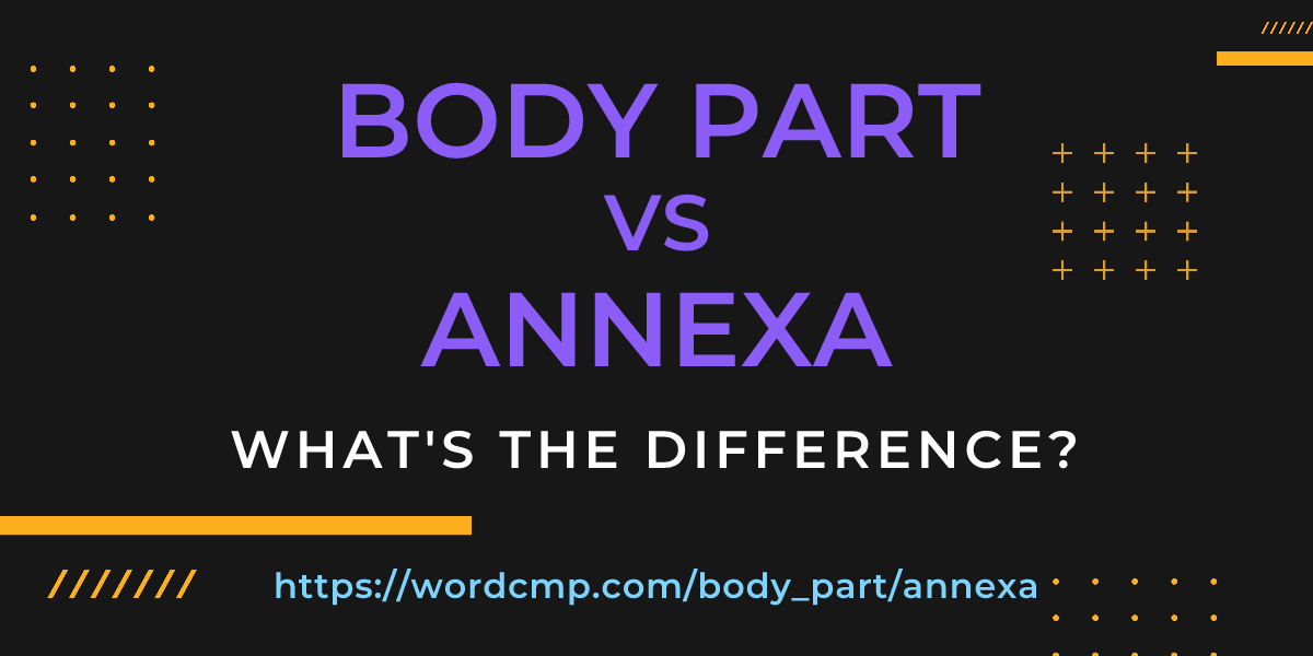 Difference between body part and annexa