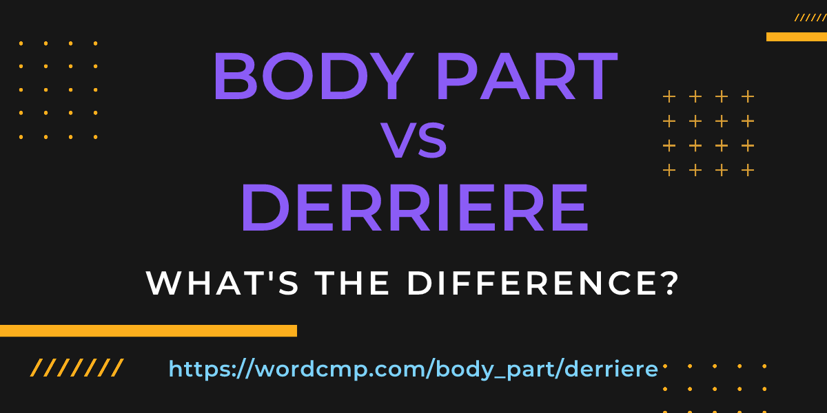 Difference between body part and derriere