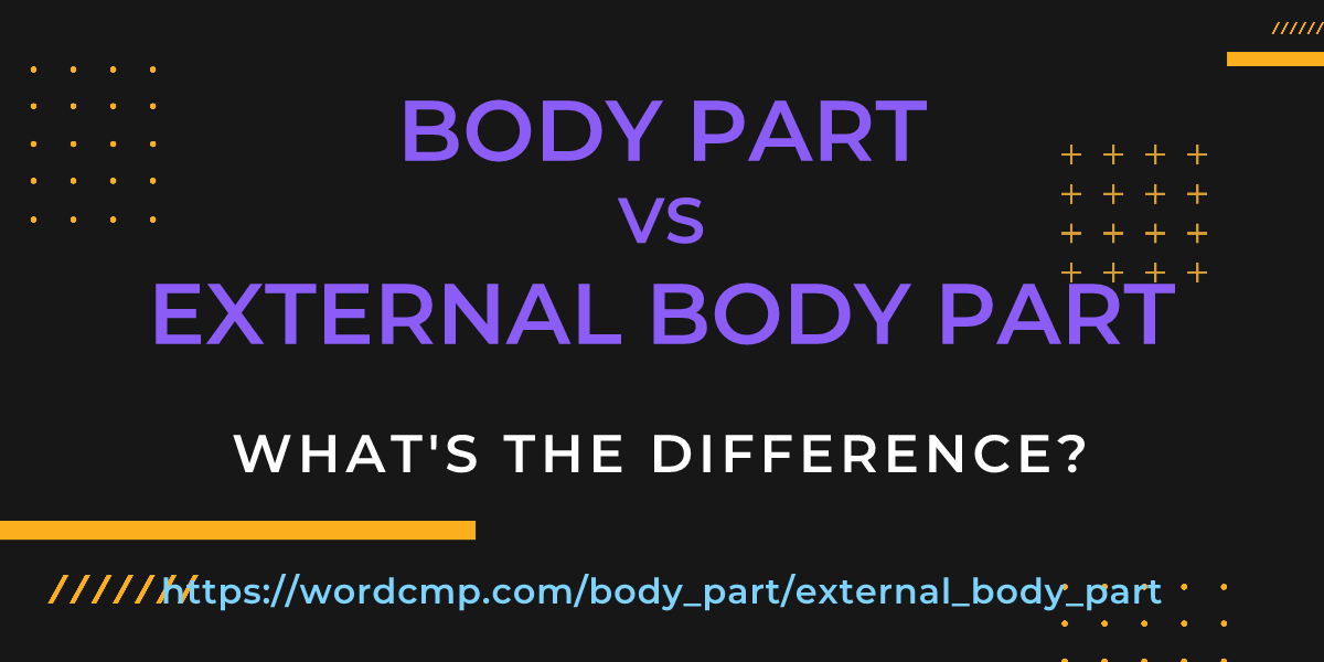 Difference between body part and external body part