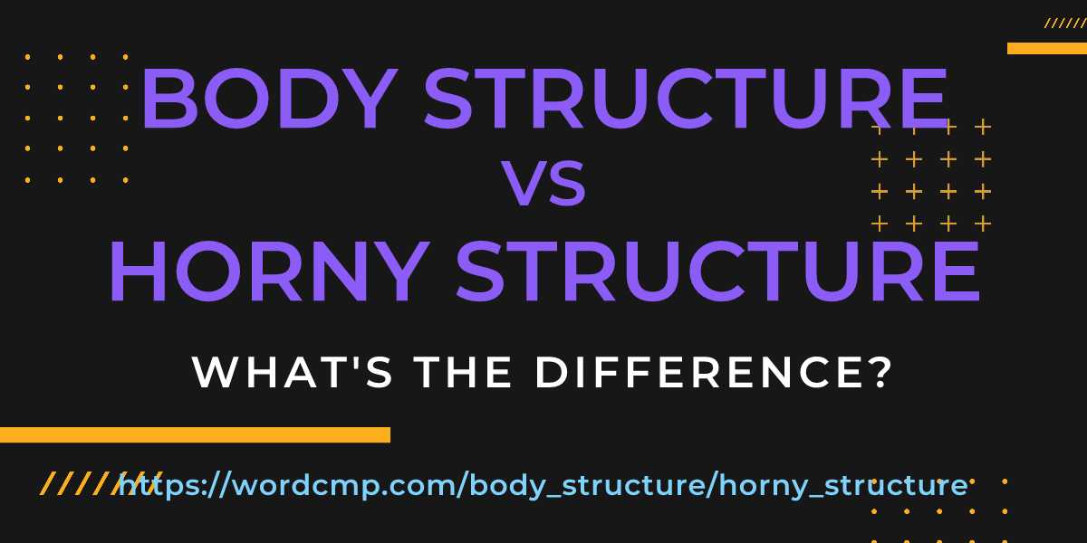 Difference between body structure and horny structure