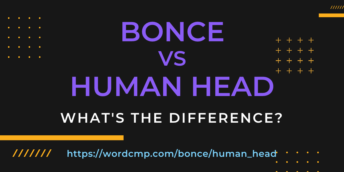 Difference between bonce and human head