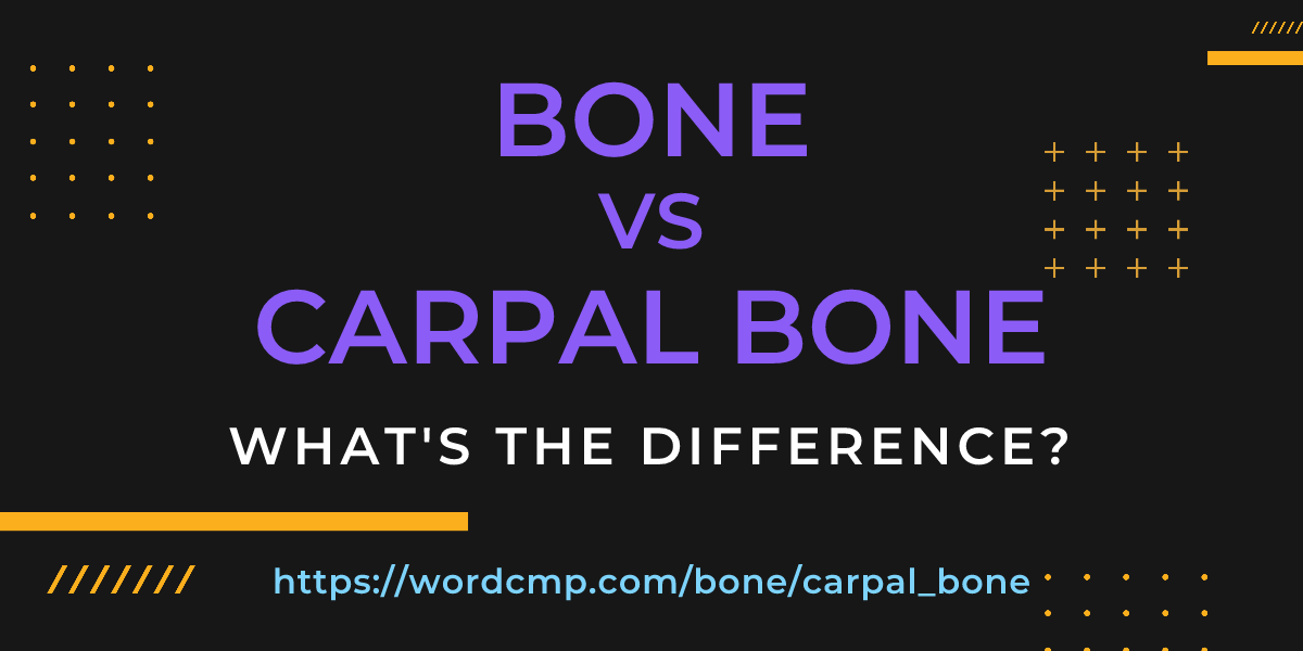 Difference between bone and carpal bone