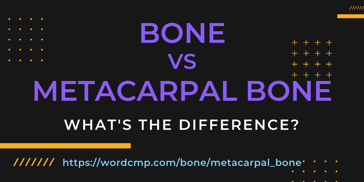 Difference between bone and metacarpal bone