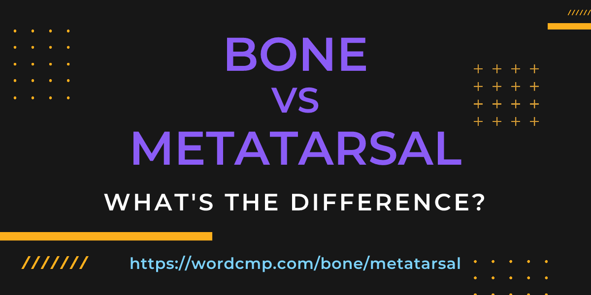Difference between bone and metatarsal