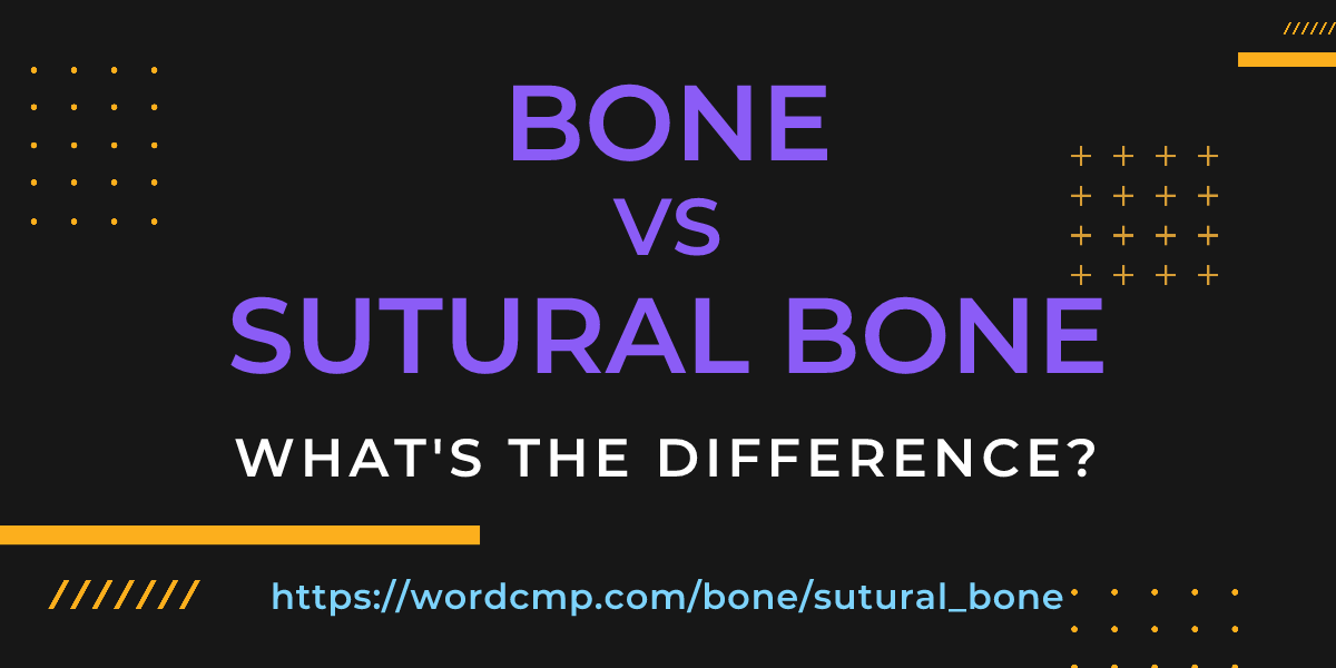 Difference between bone and sutural bone