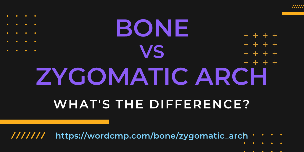 Difference between bone and zygomatic arch