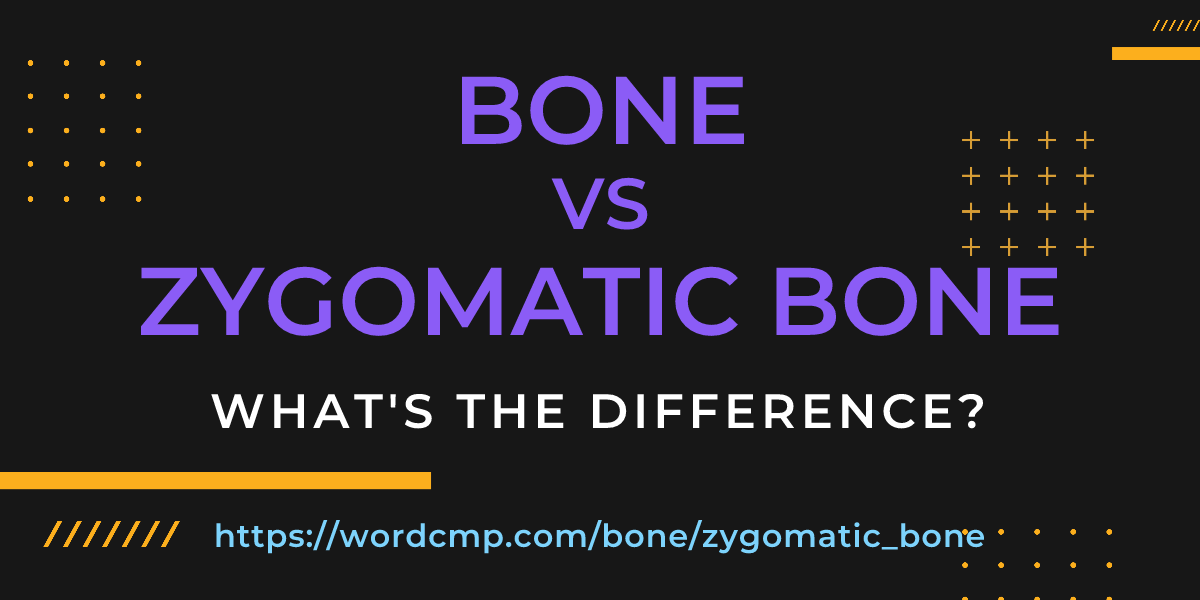 Difference between bone and zygomatic bone