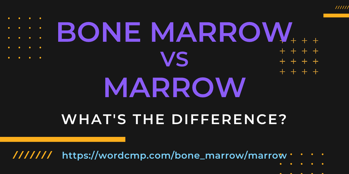 Difference between bone marrow and marrow