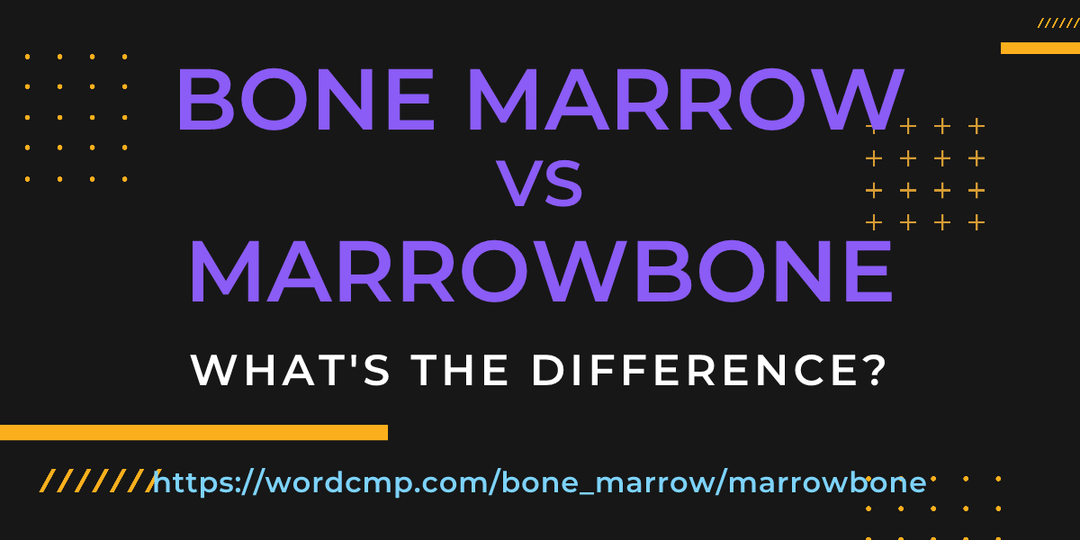 Difference between bone marrow and marrowbone
