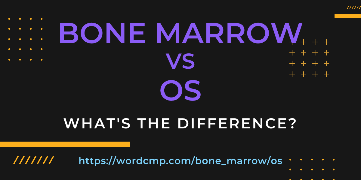 Difference between bone marrow and os