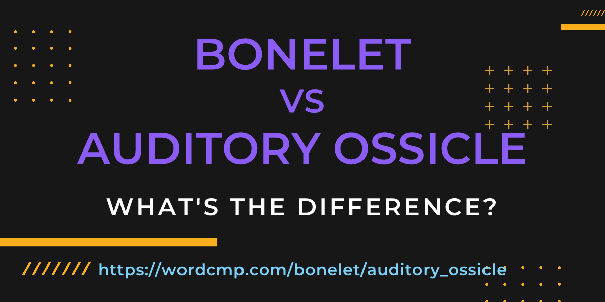 Difference between bonelet and auditory ossicle