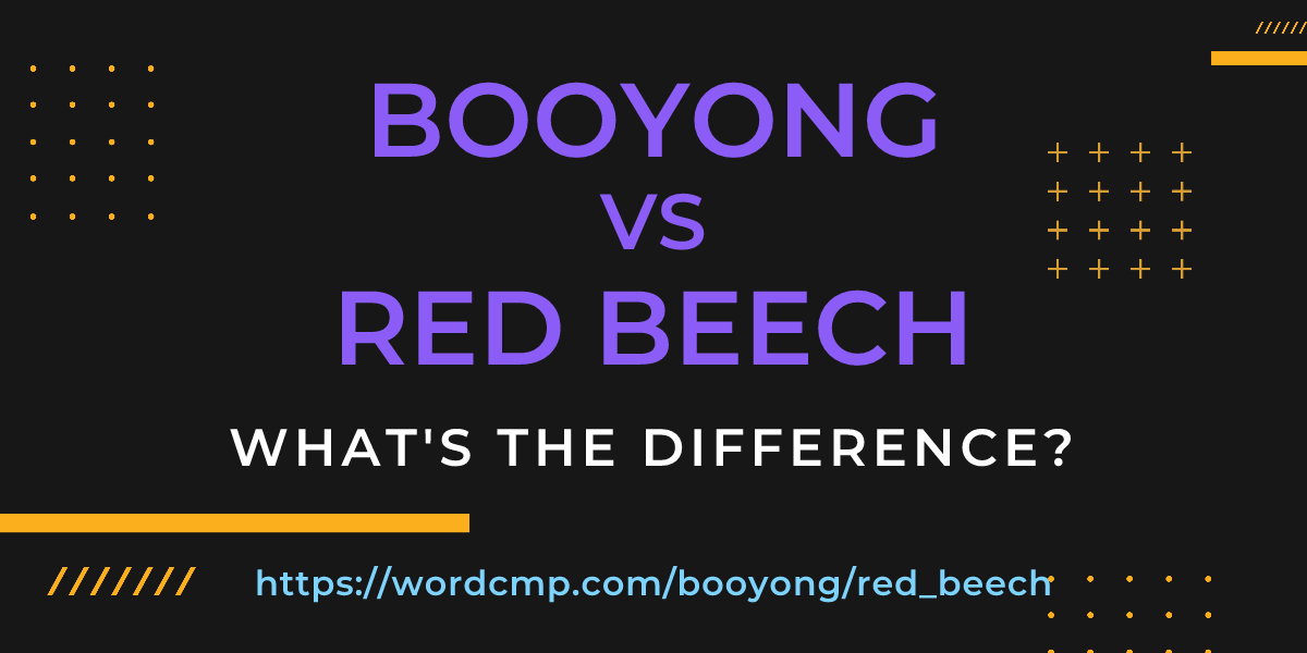 Difference between booyong and red beech