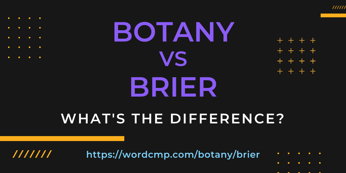 Difference between botany and brier