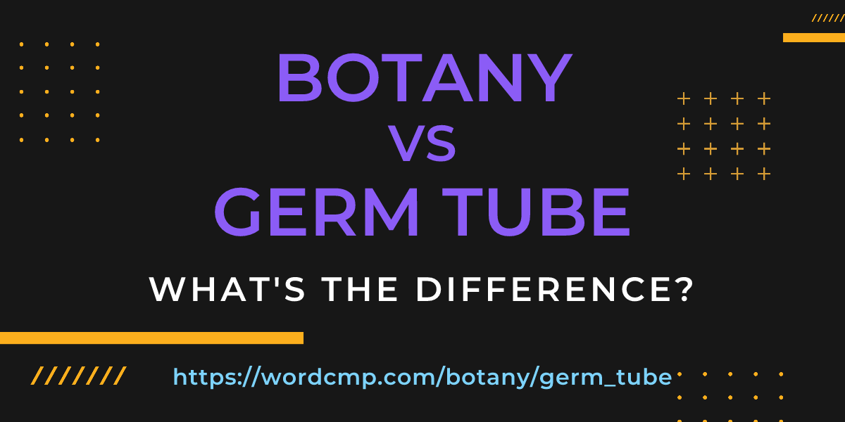 Difference between botany and germ tube