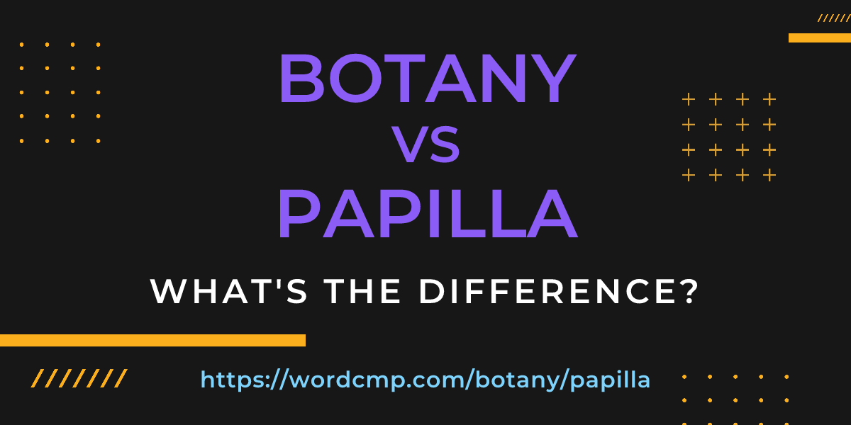 Difference between botany and papilla