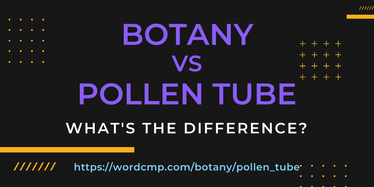 Difference between botany and pollen tube