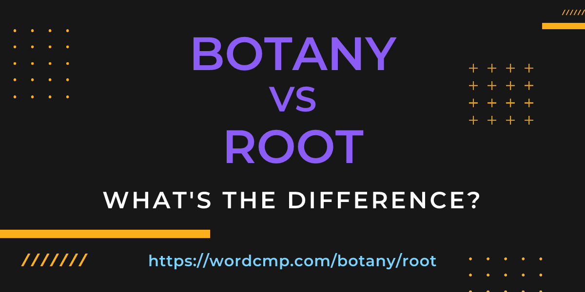 Difference between botany and root