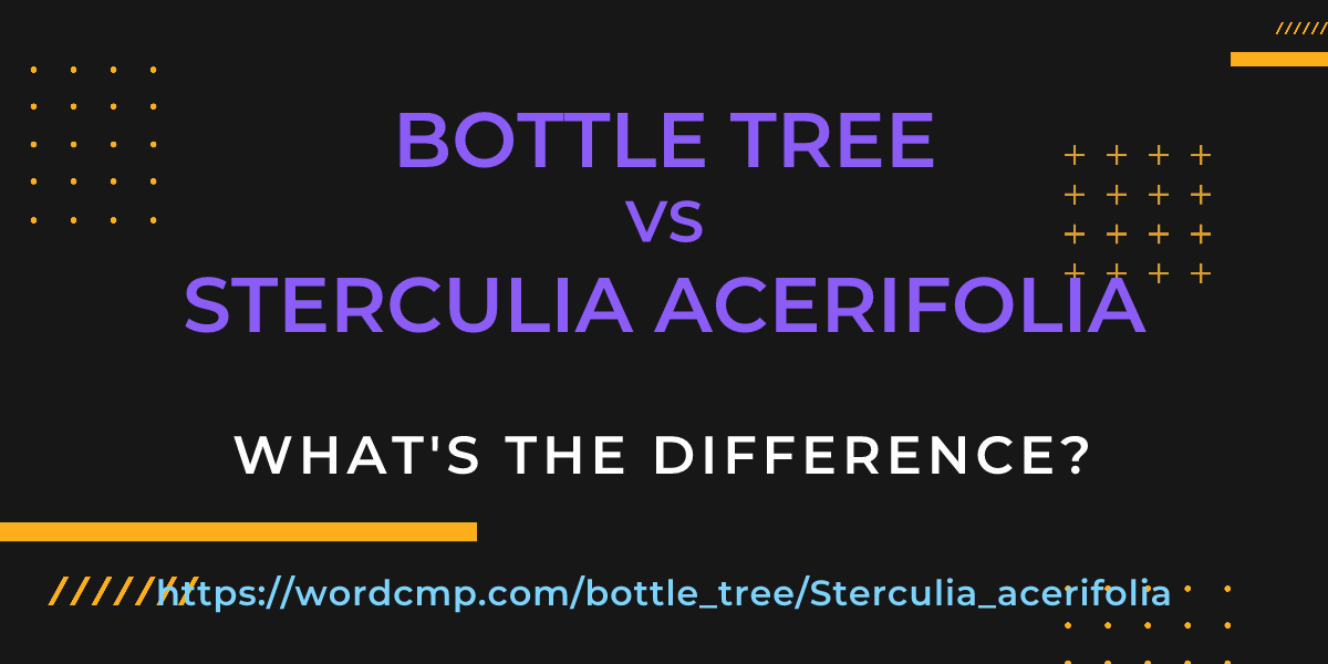 Difference between bottle tree and Sterculia acerifolia