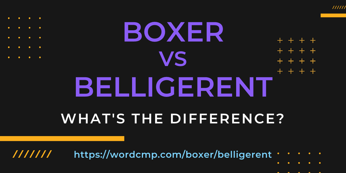 Difference between boxer and belligerent