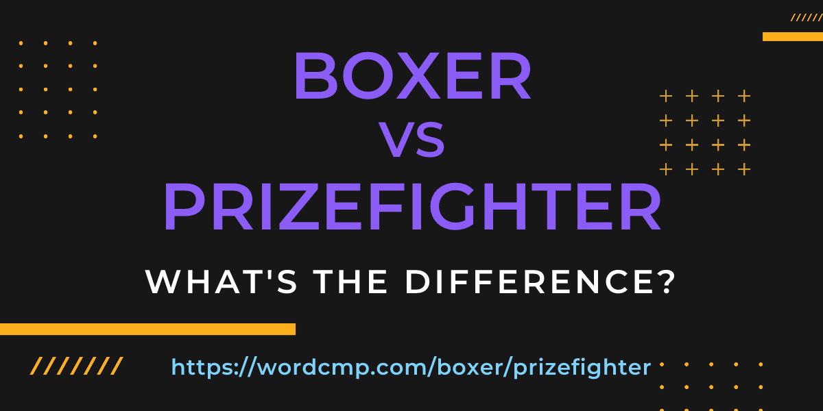 Difference between boxer and prizefighter