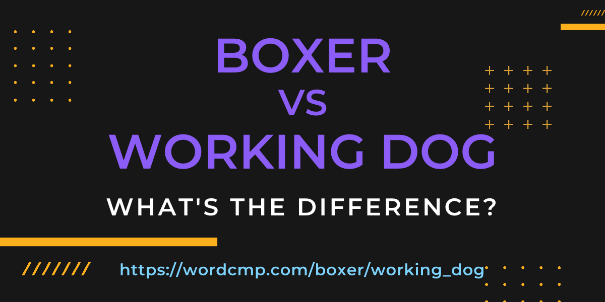 Difference between boxer and working dog