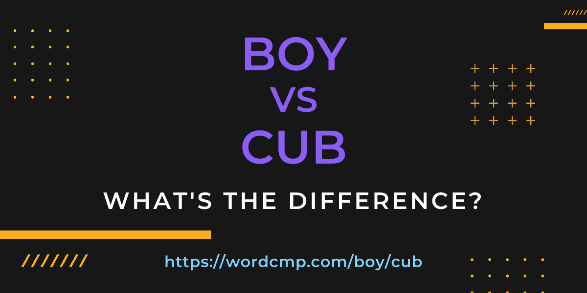 Difference between boy and cub