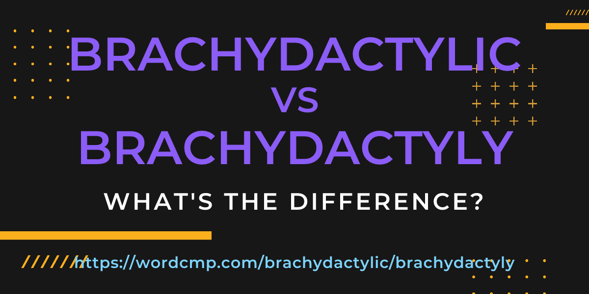 Difference between brachydactylic and brachydactyly