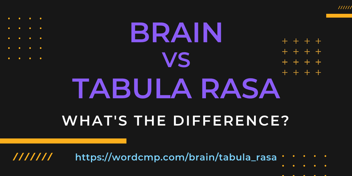 Difference between brain and tabula rasa
