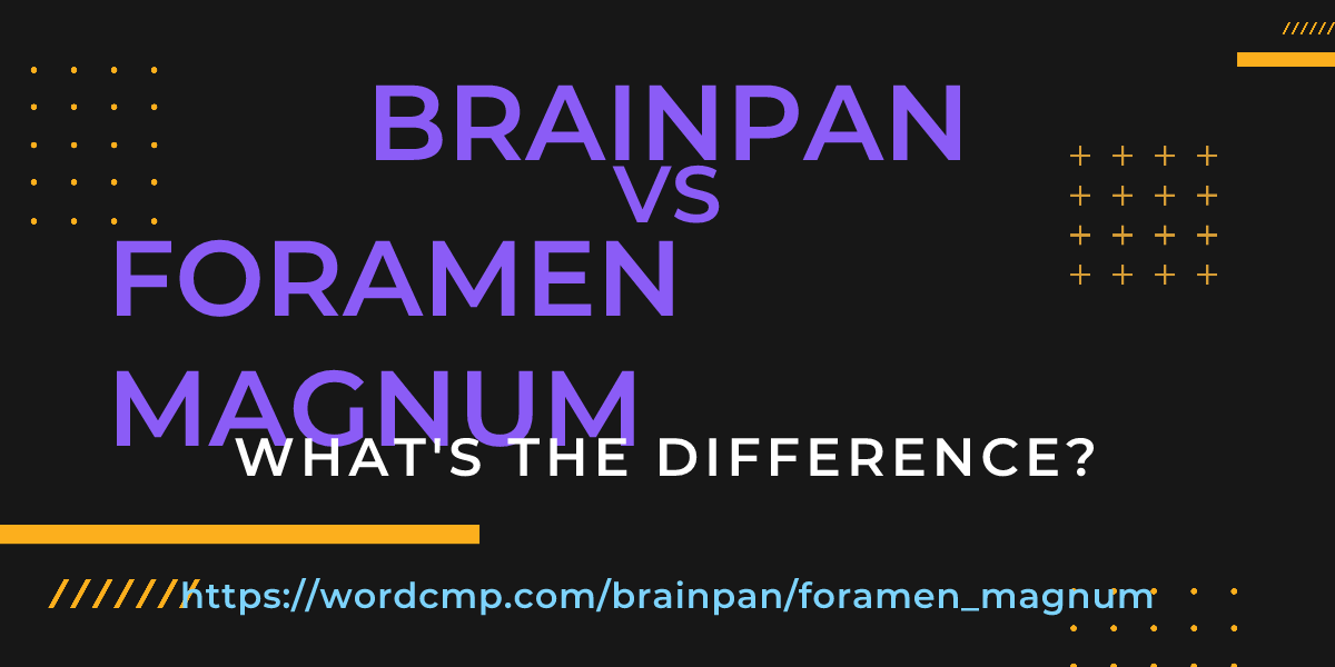 Difference between brainpan and foramen magnum
