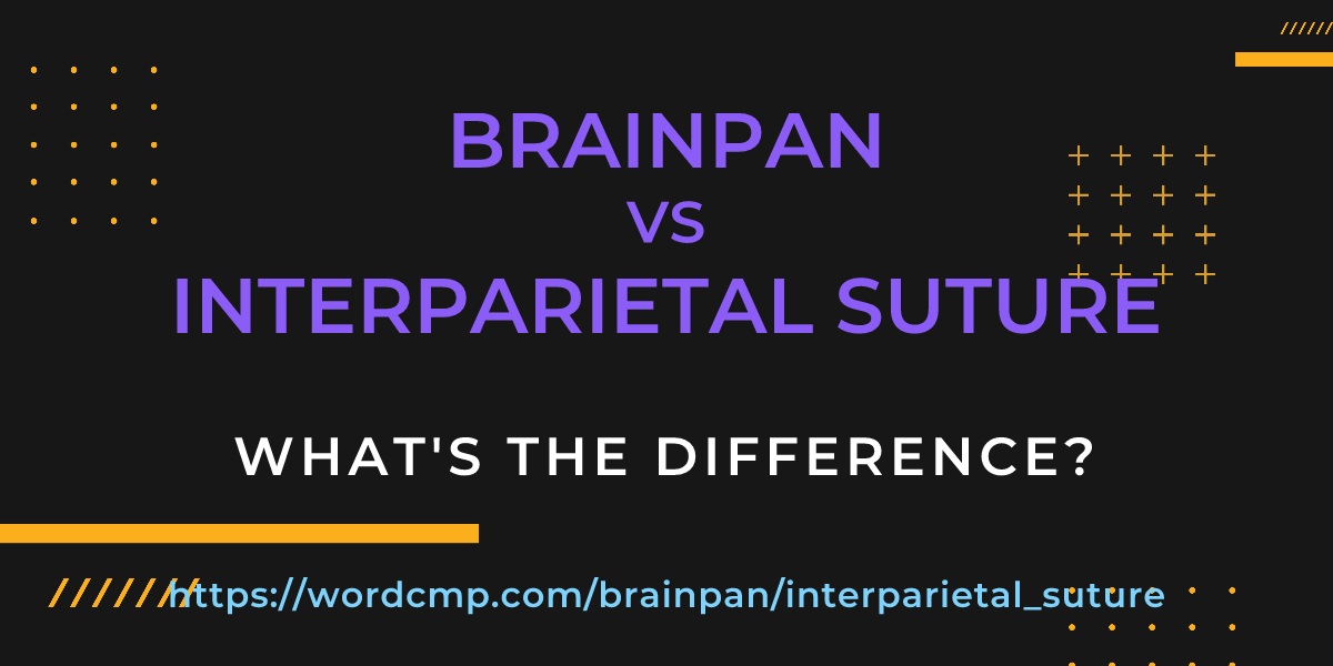Difference between brainpan and interparietal suture