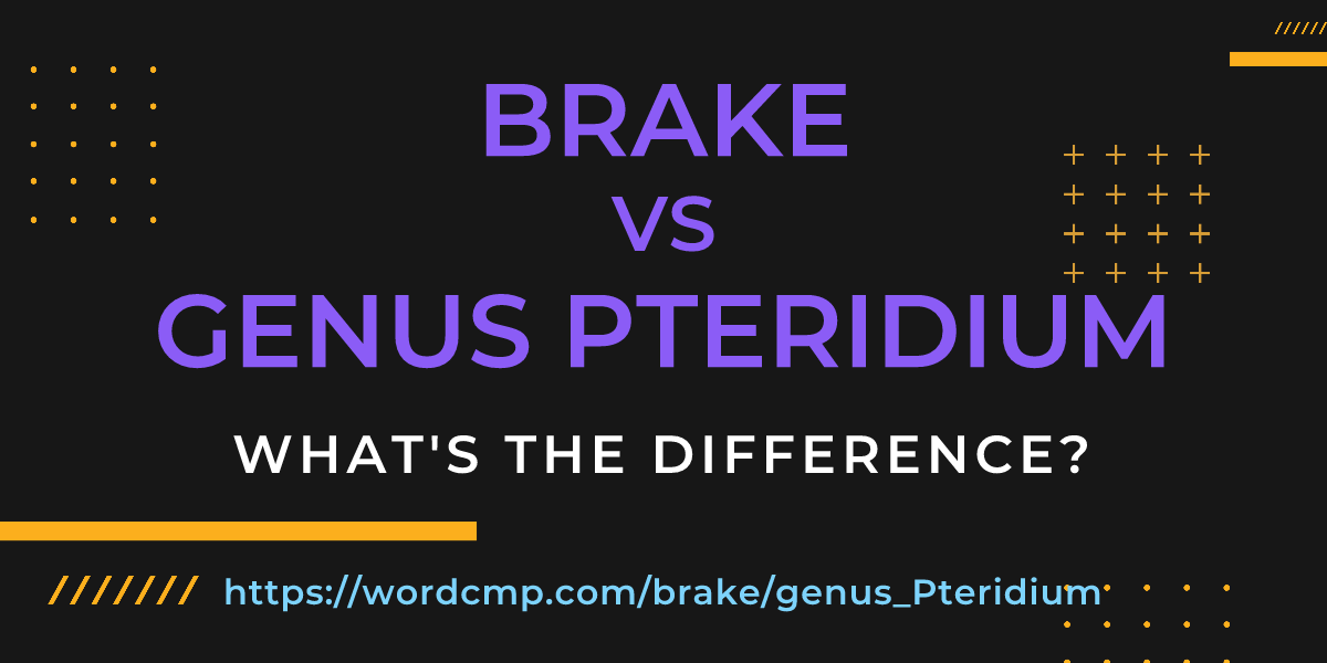 Difference between brake and genus Pteridium