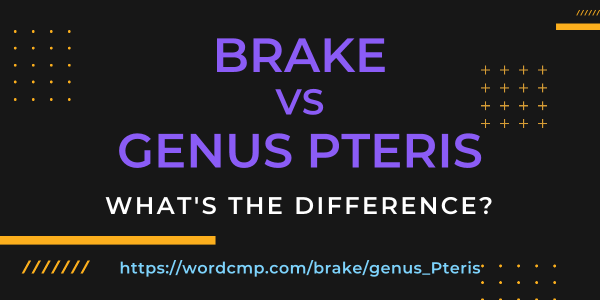 Difference between brake and genus Pteris