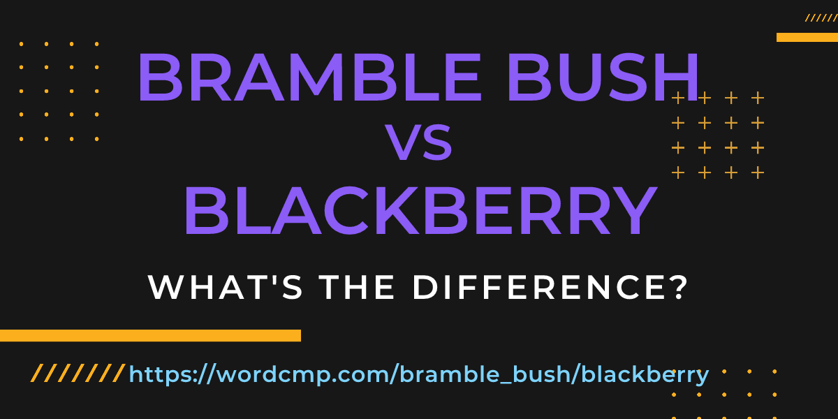 Difference between bramble bush and blackberry