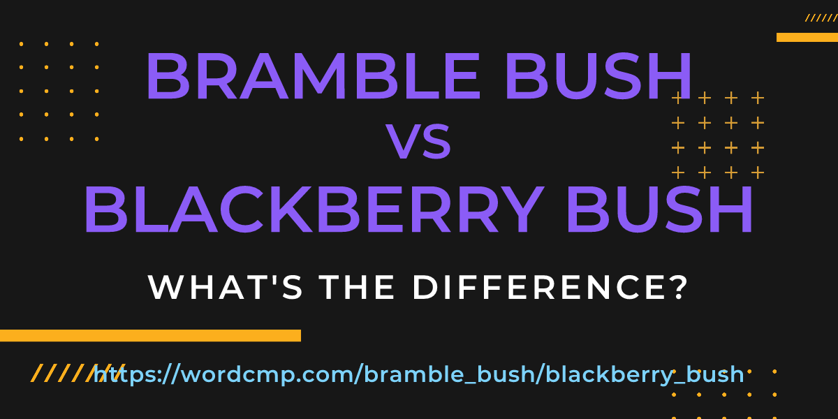 Difference between bramble bush and blackberry bush