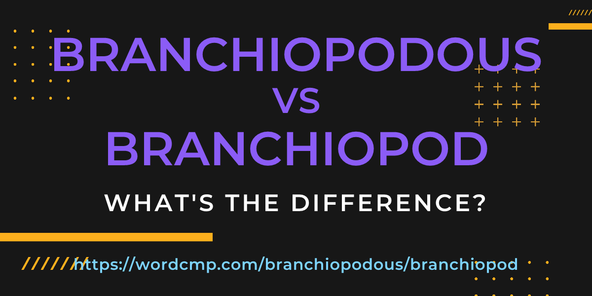 Difference between branchiopodous and branchiopod
