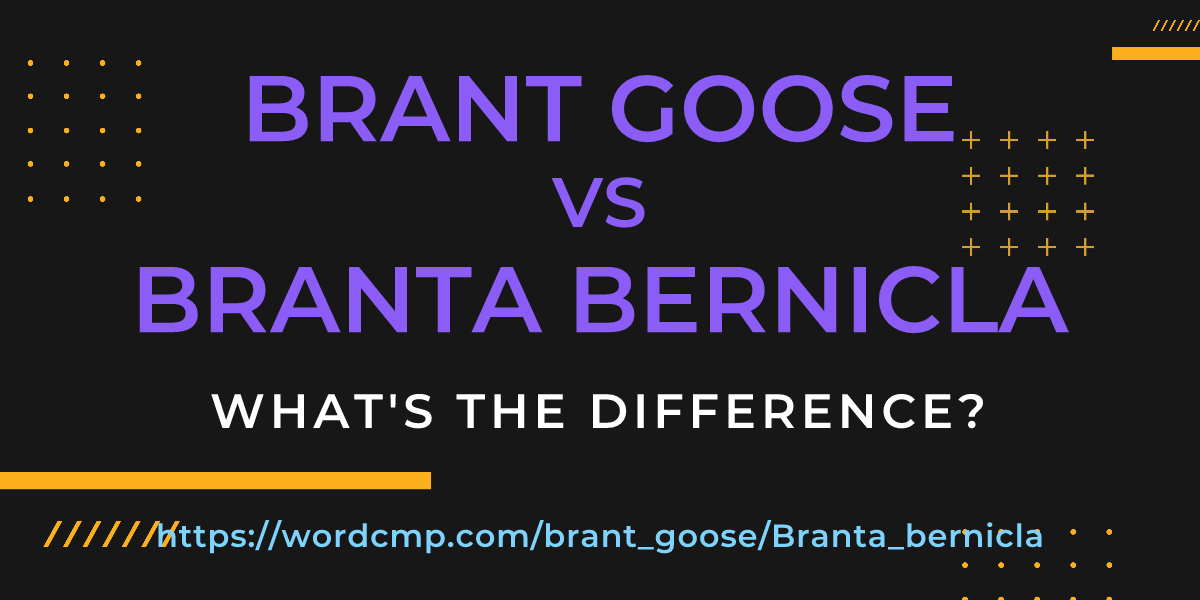 Difference between brant goose and Branta bernicla