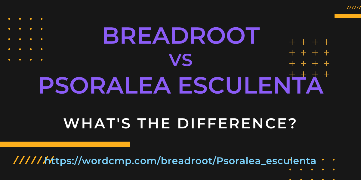 Difference between breadroot and Psoralea esculenta