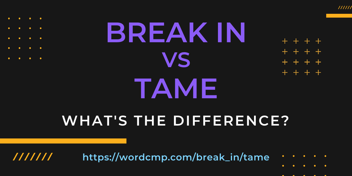 Difference between break in and tame