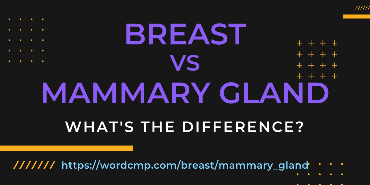 Difference between breast and mammary gland